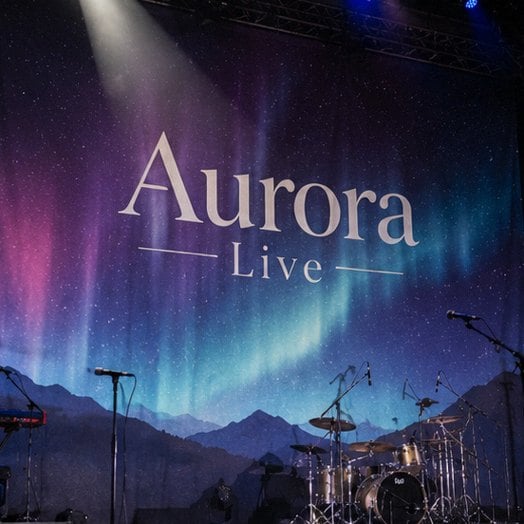Custom stage scrims — customer photo